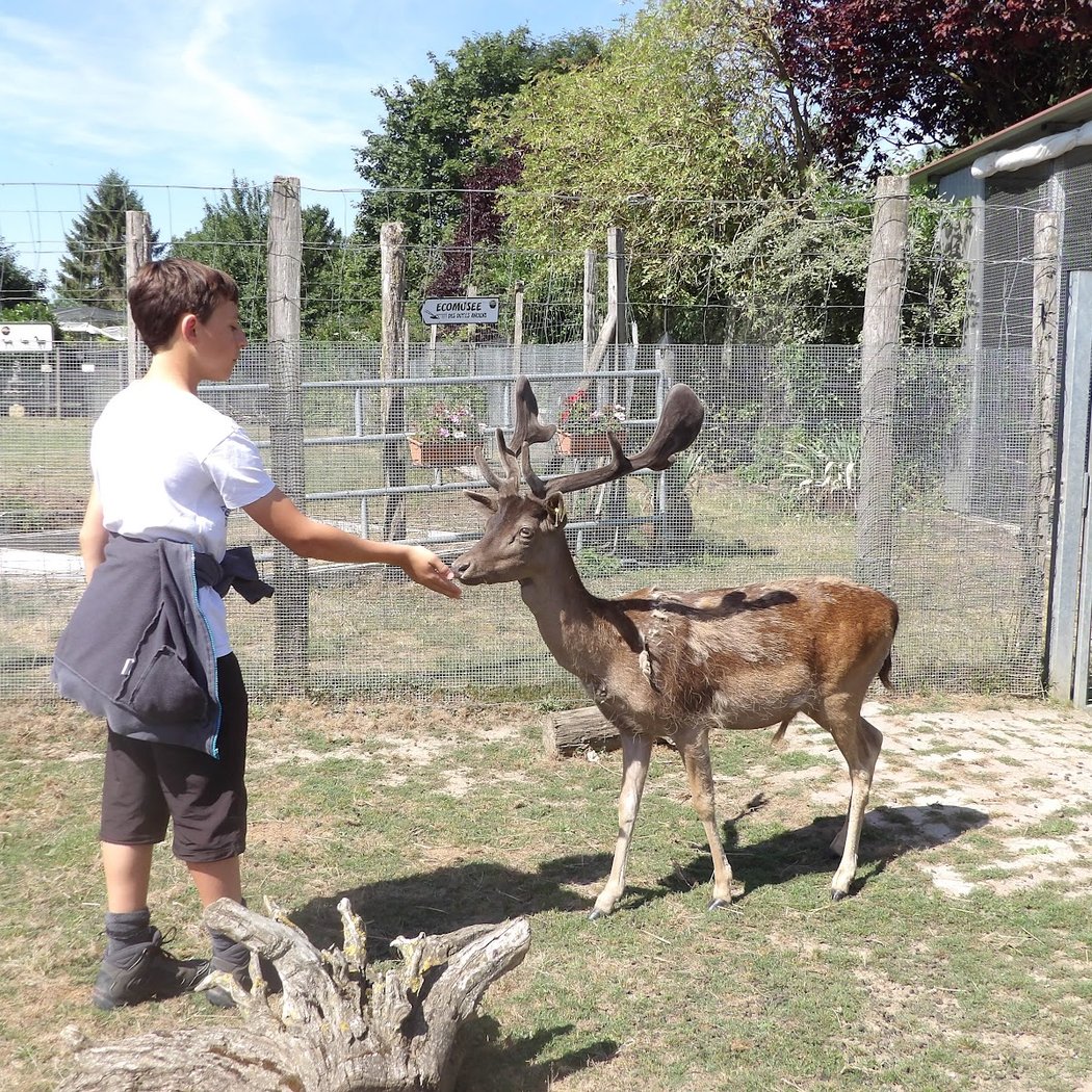 Animal Park EDENTARA 2