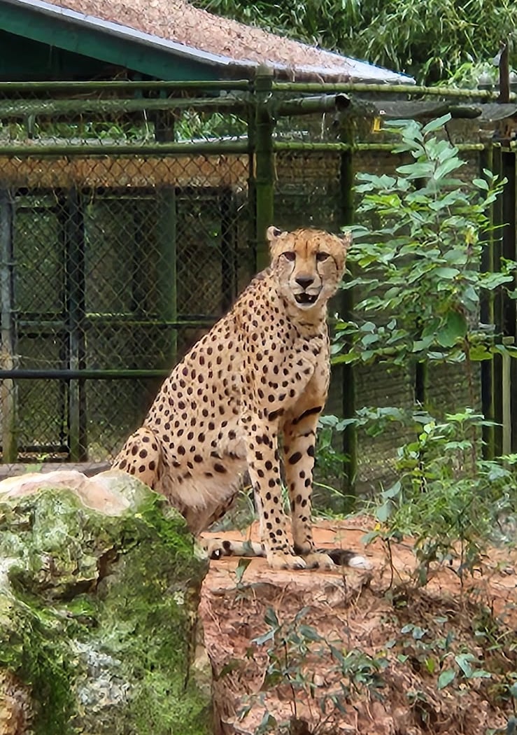 Chehaw Park & Zoo 1