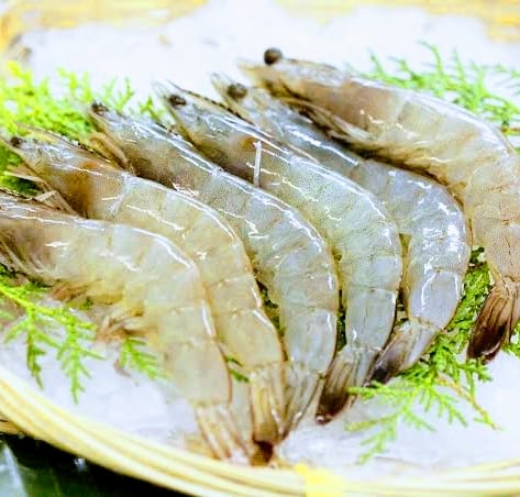 Fresh Catch Whitefield 1