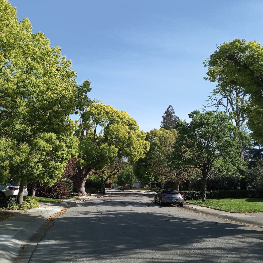Menlo Park 4