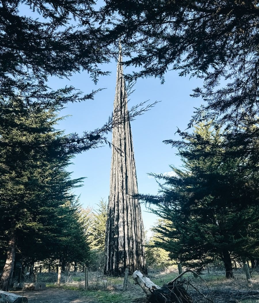 Spire by Andy Goldsworthy 1