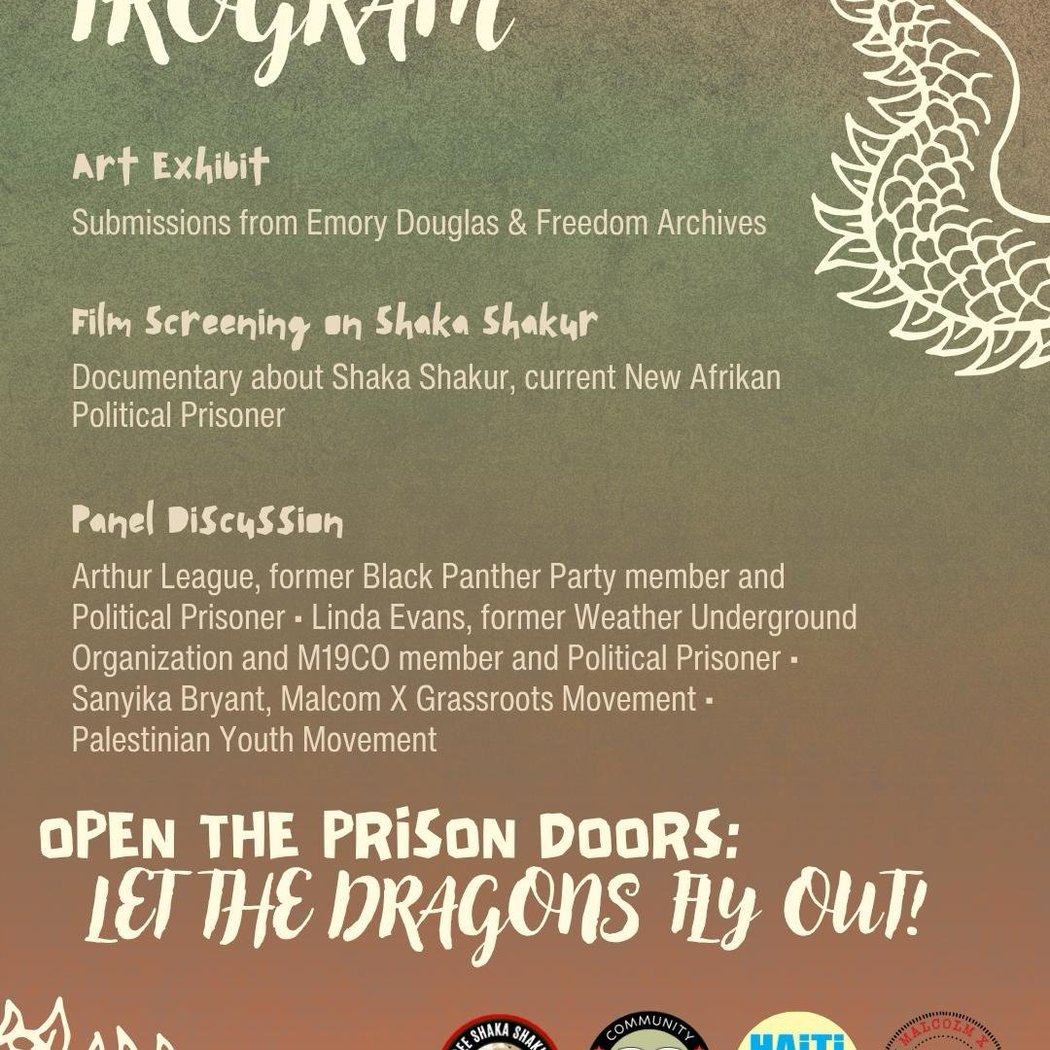 New Afrikan Freedom Fighters: Free All Political Prisoners 2