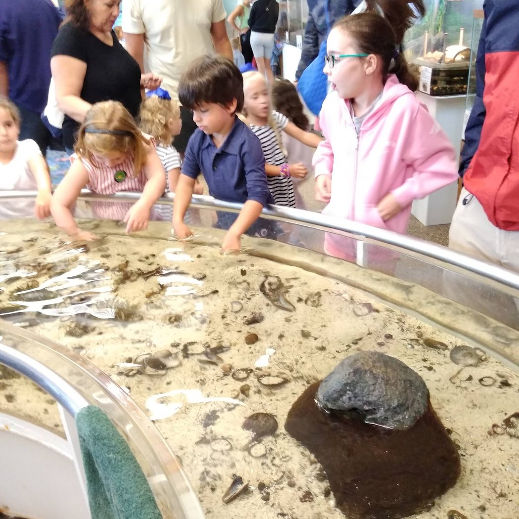 East End Outdoor Nature Education 1
