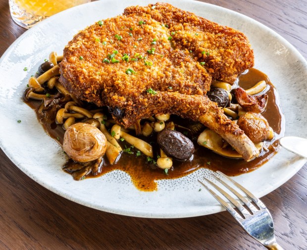 Amazing Katsu 1