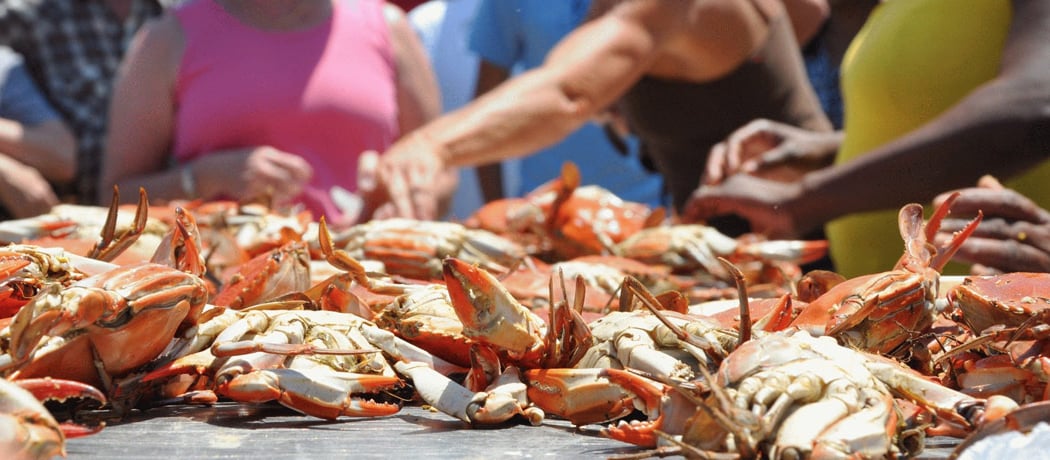 Rappahannock Riverfest 3