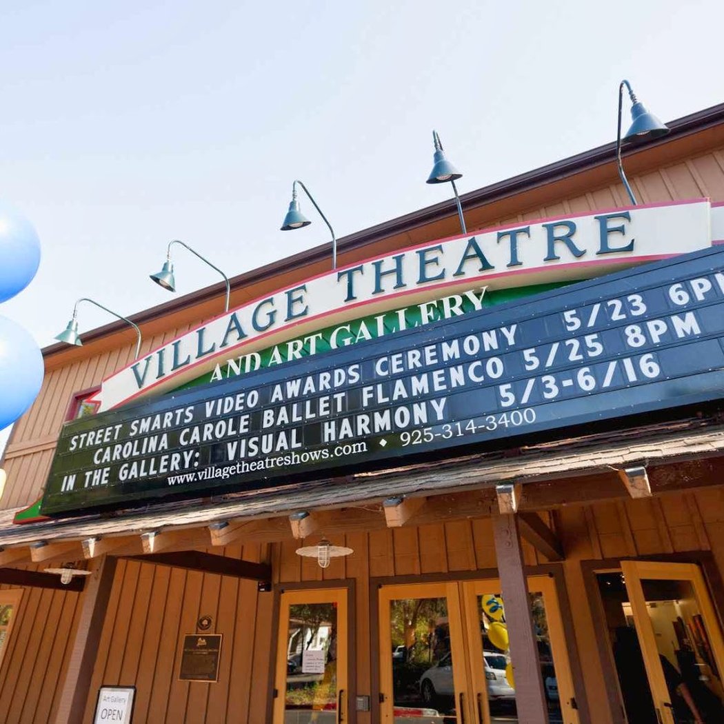 Village Theatre & Art Gallery 3
