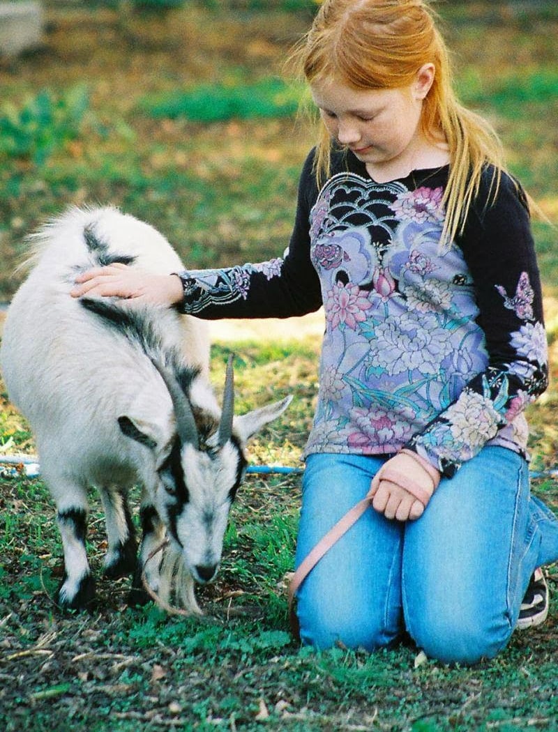 Little Explorers Mobile Petting Zoo 1