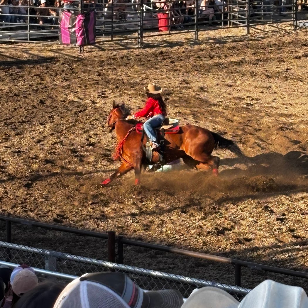 Broncs, Bulls, & Barrels Rodeo 3