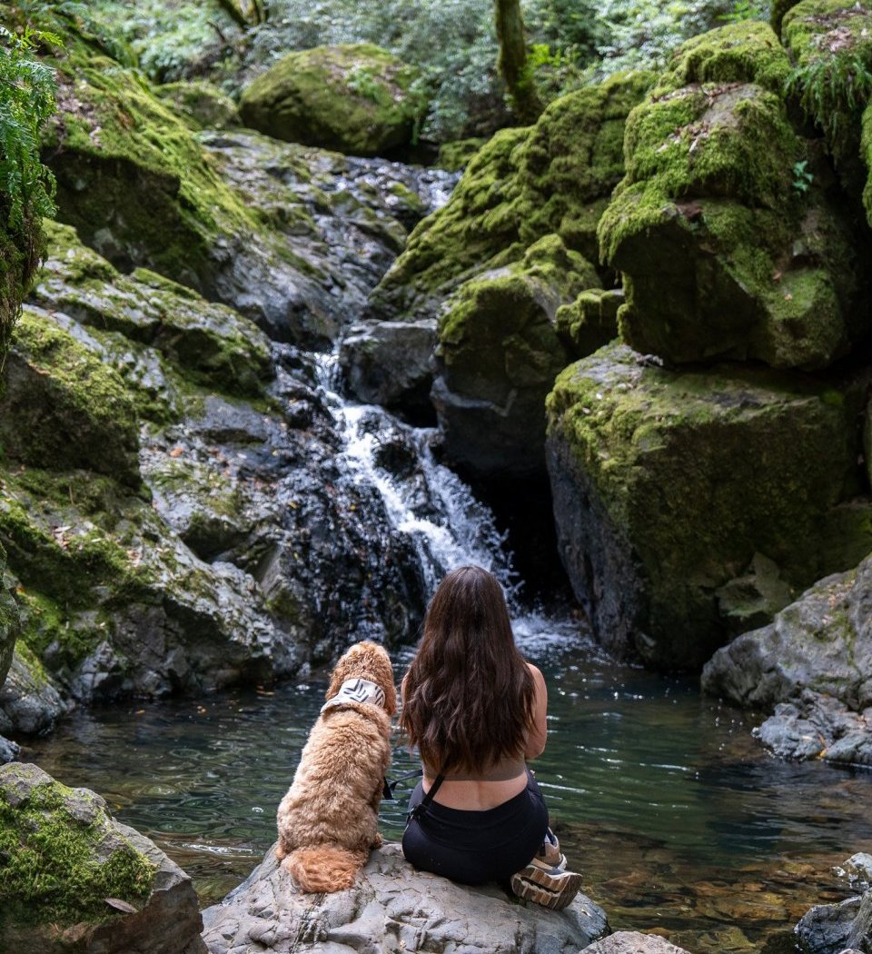 Cataract Falls 3