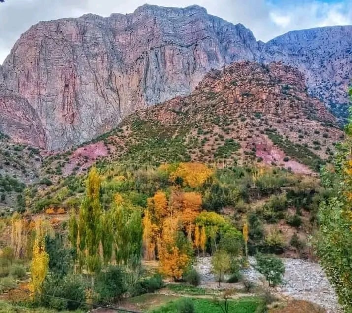 Taghia 1