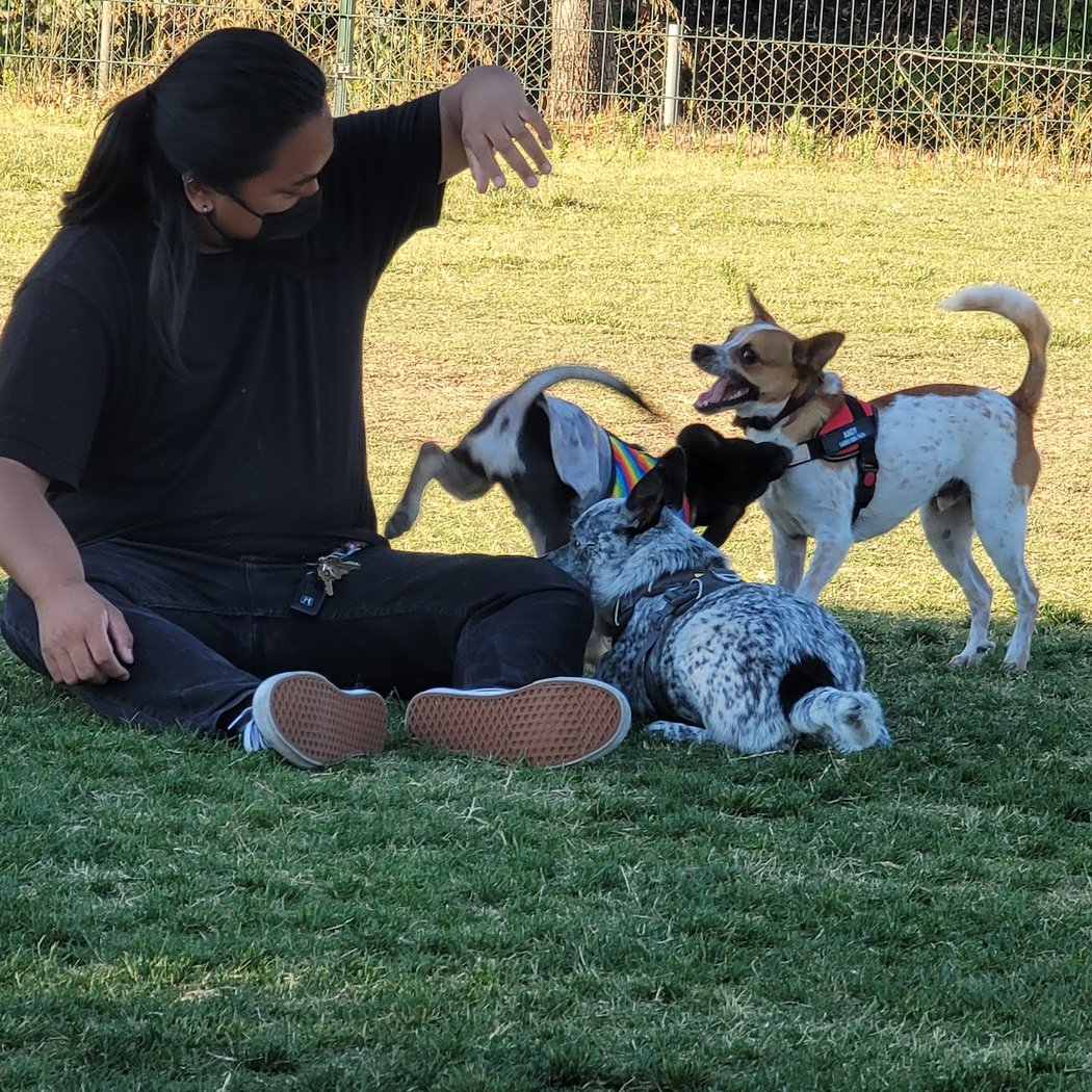 Watson Park 1