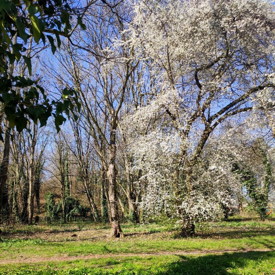 Parc François Mitterrand 4