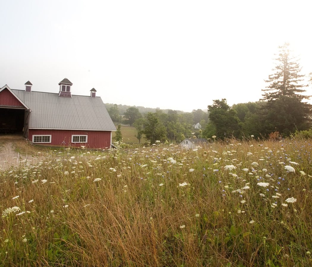 Glynwood Farm Dinner with Fabrizia Lanza: Weaving Story, Taste, and Land 2