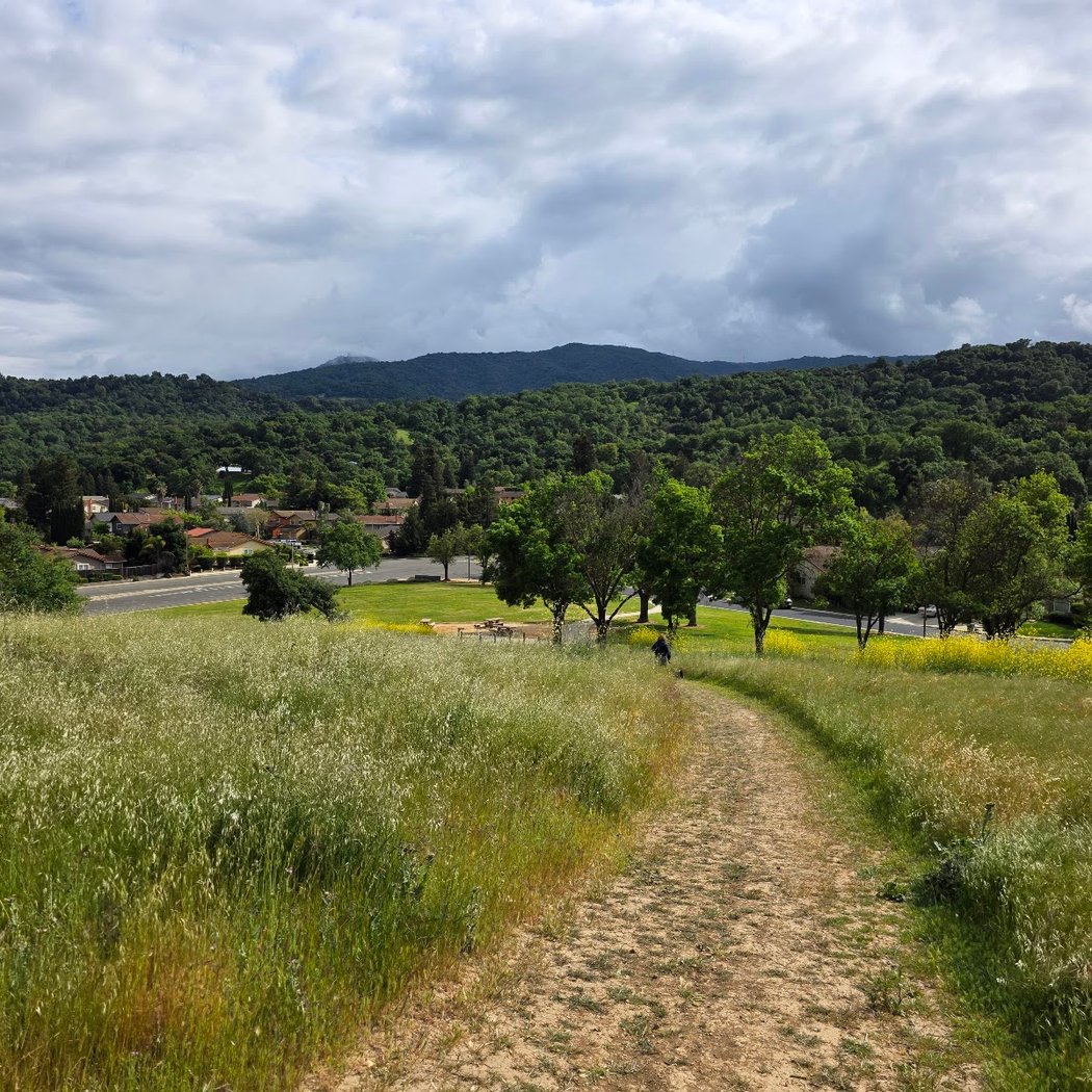 Almaden Meadows Park 1