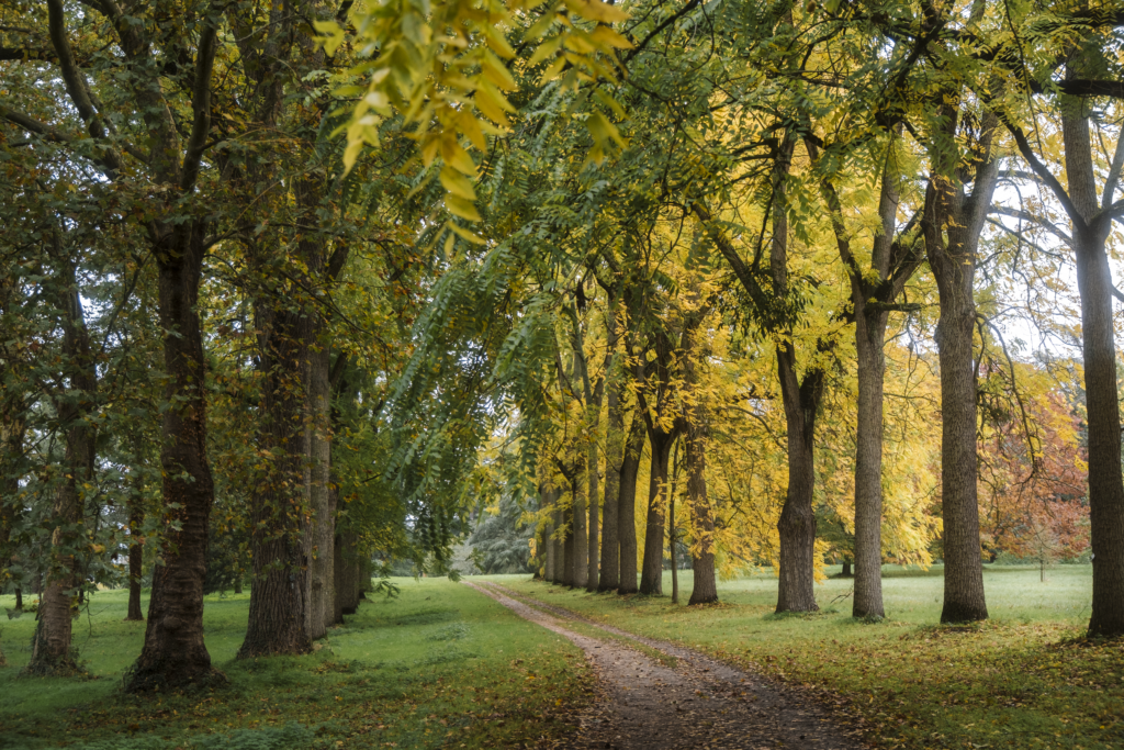 Versailles-Chèvreloup Arboretum 1