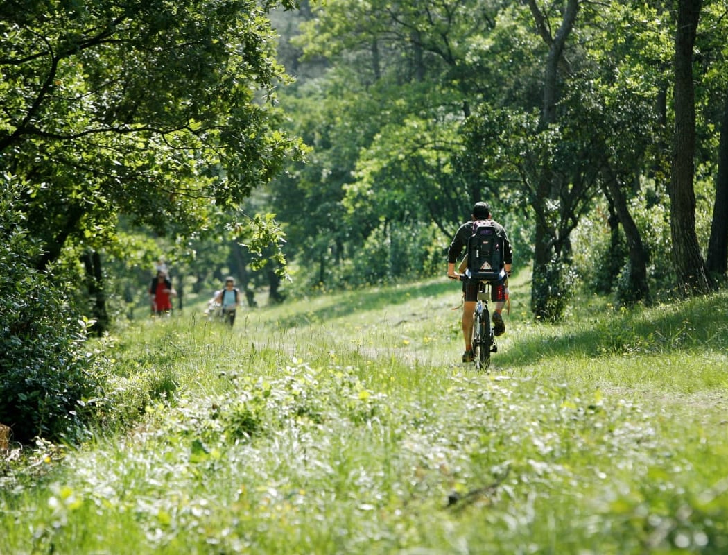 Piste cyclable 1