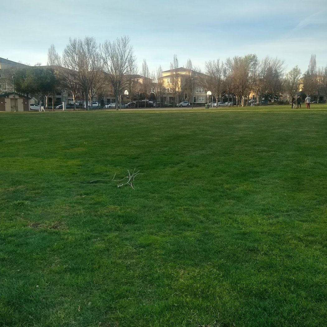 Bray Commons 3