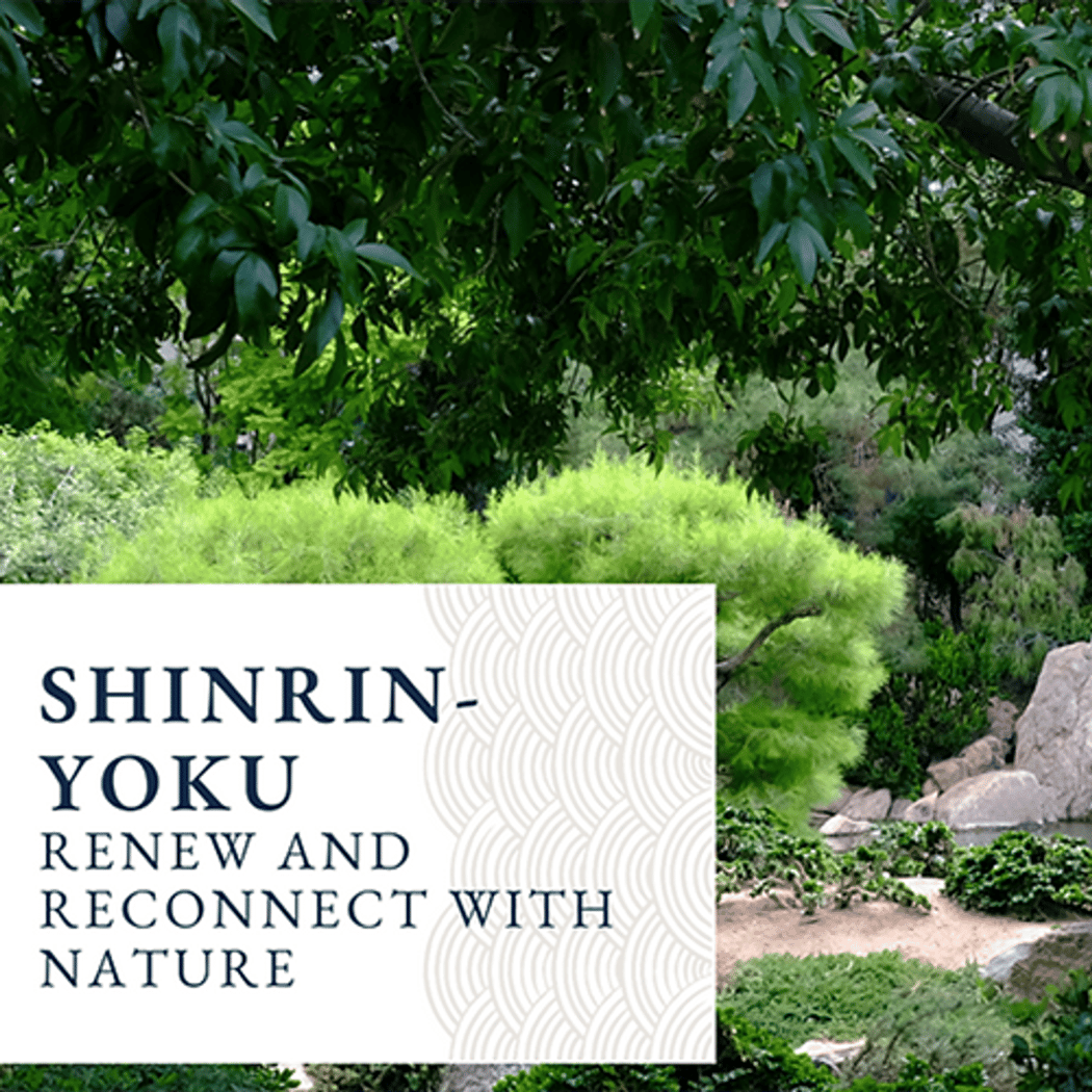 Shinrin-Yoku Workshop