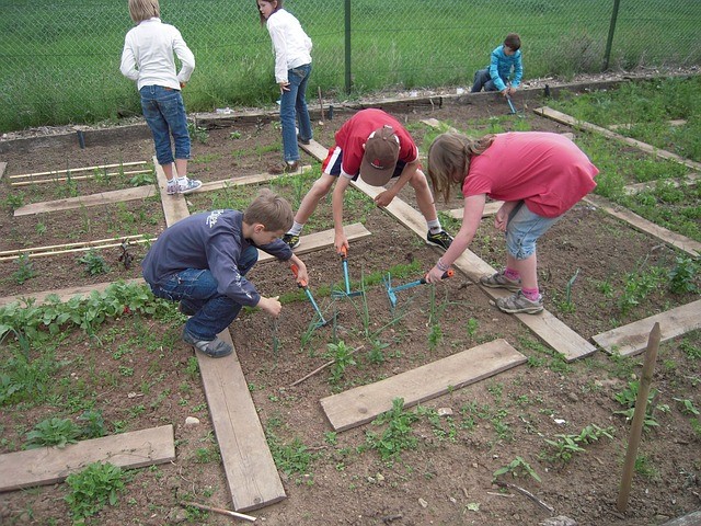 Community Farm Day 3