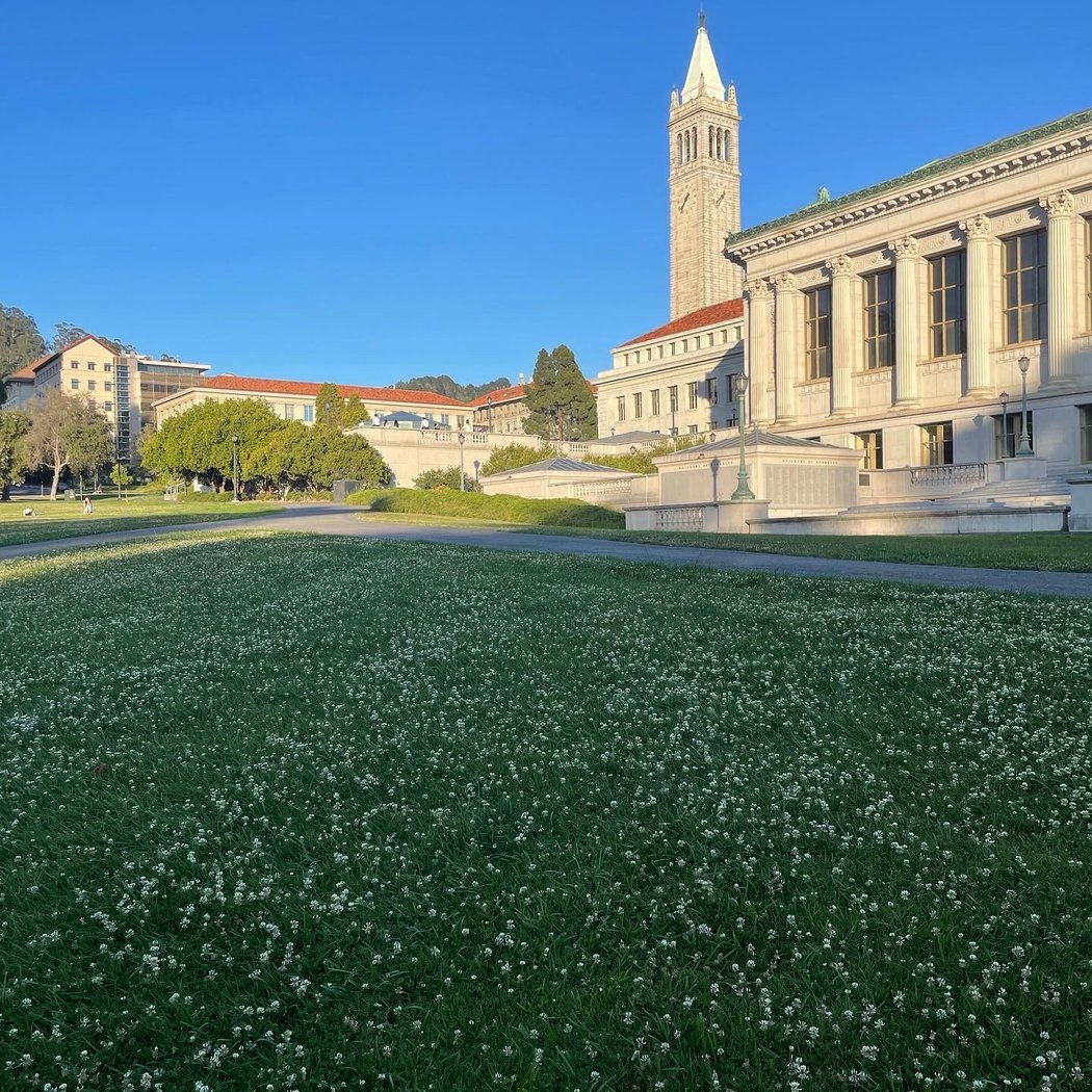 UC Berkeley's College of Environmental Design Summer Programs 3