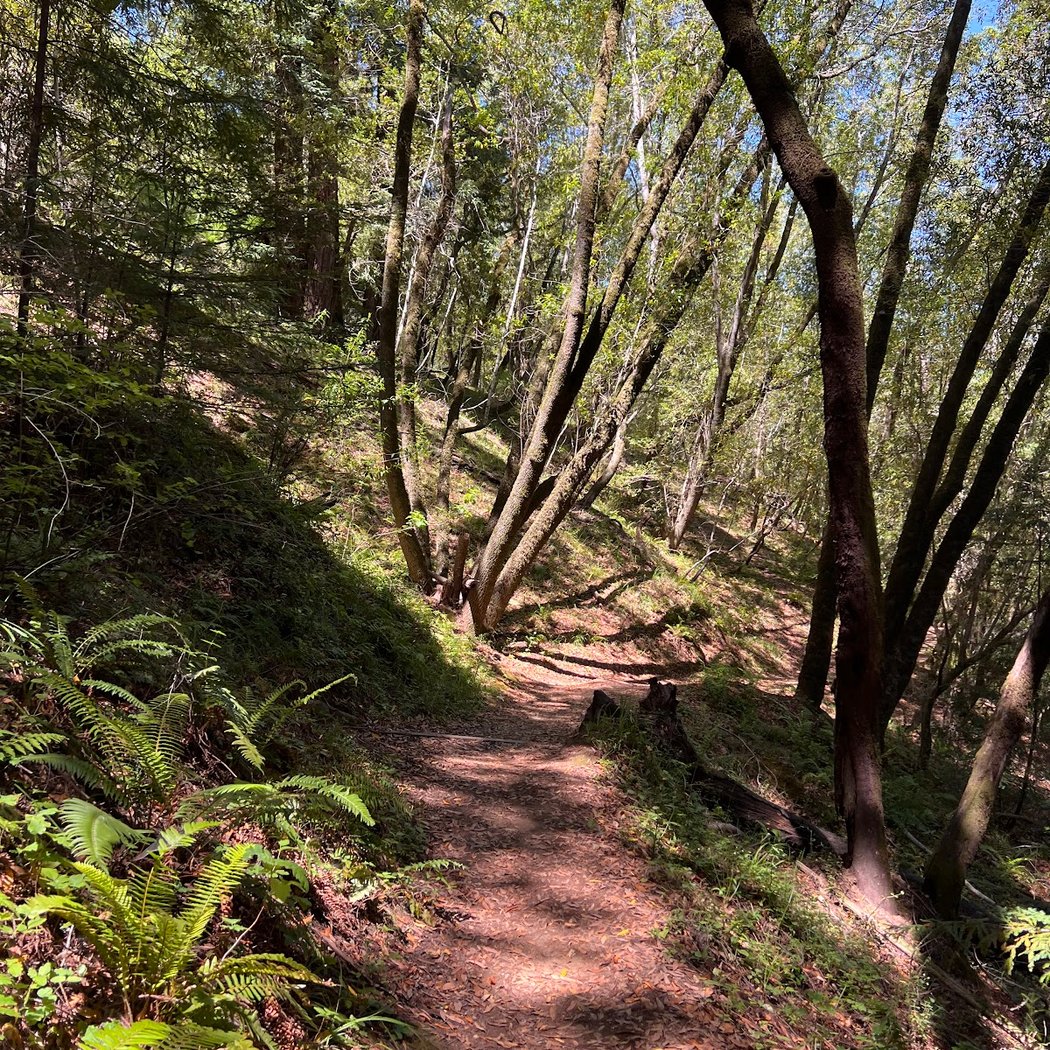 Deer Park Parking Area & Trailhead 3