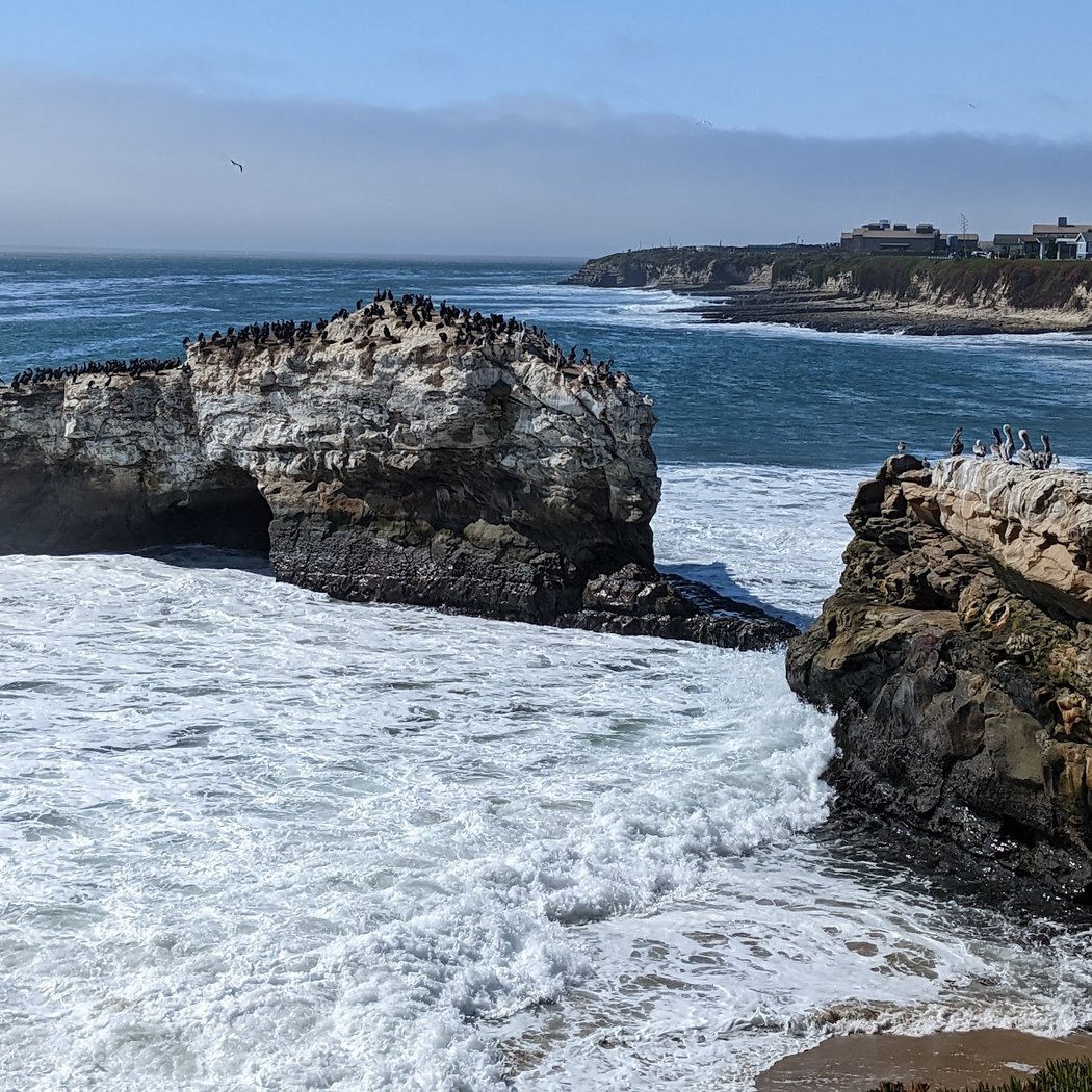 Natural Bridges Tidepools 1