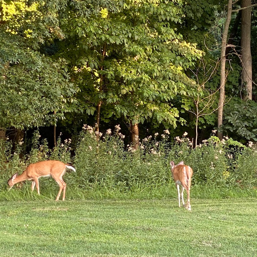 Sunken Meadow Golf Course 3