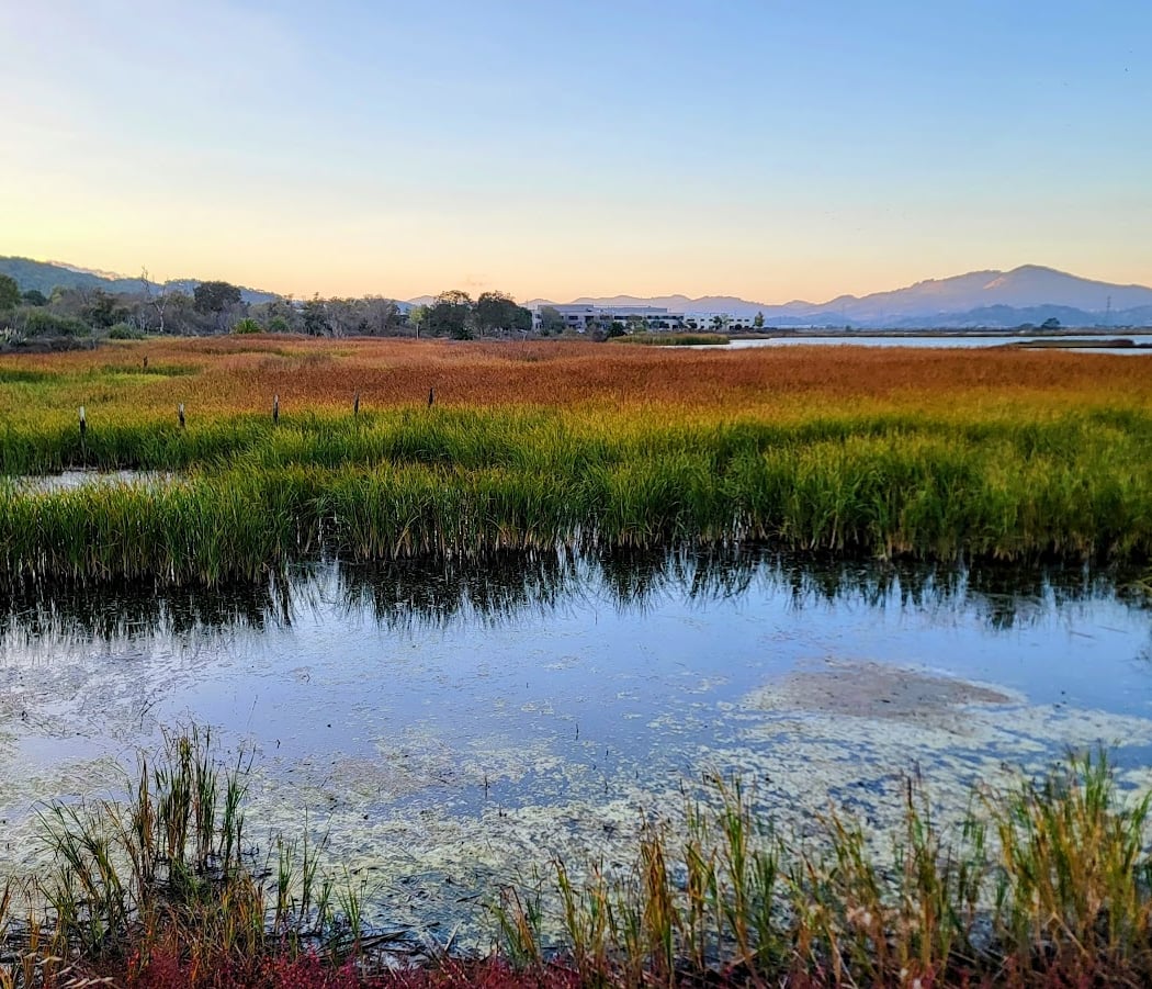 CCC Annual Bird Walk 3