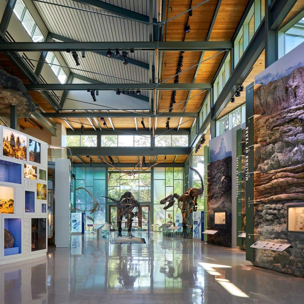 Witte Museum 2
