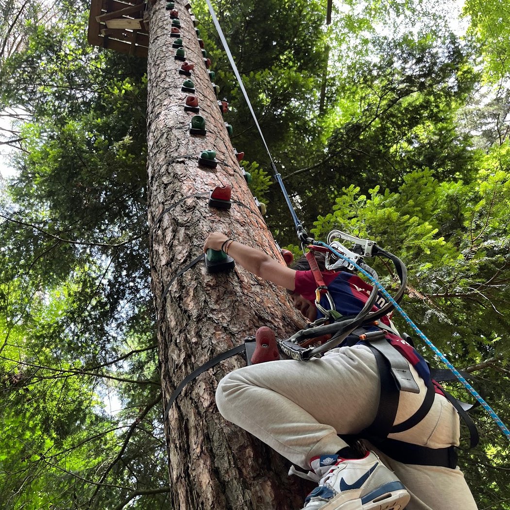 Adventure Park - Signal de Bougy 1