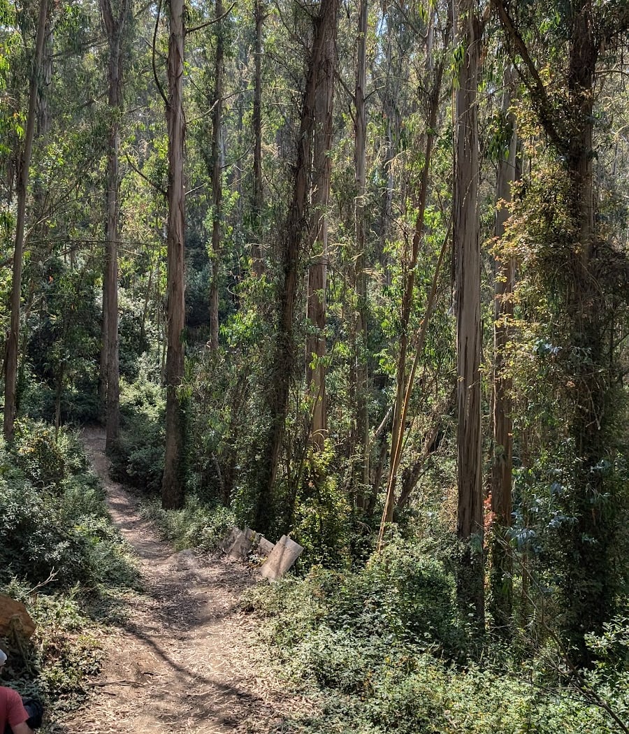 Pacifica bike trails 3