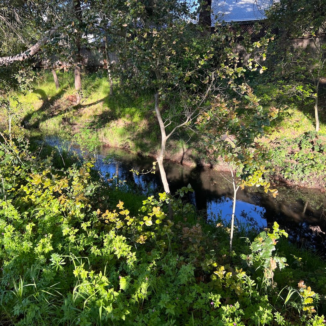 Jean K.T. Carter Park 1