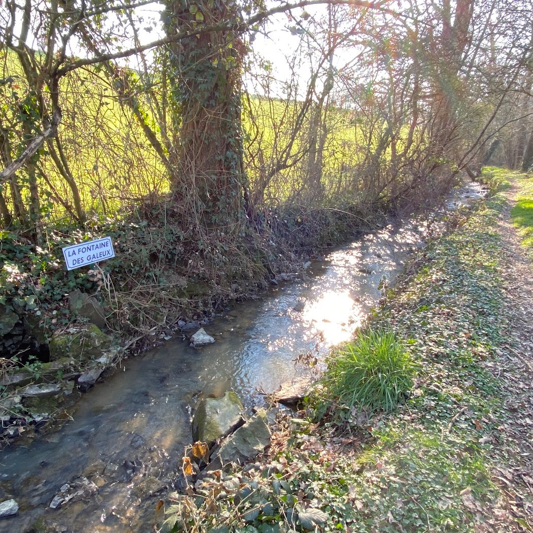 La Fontaine des Galeux 2