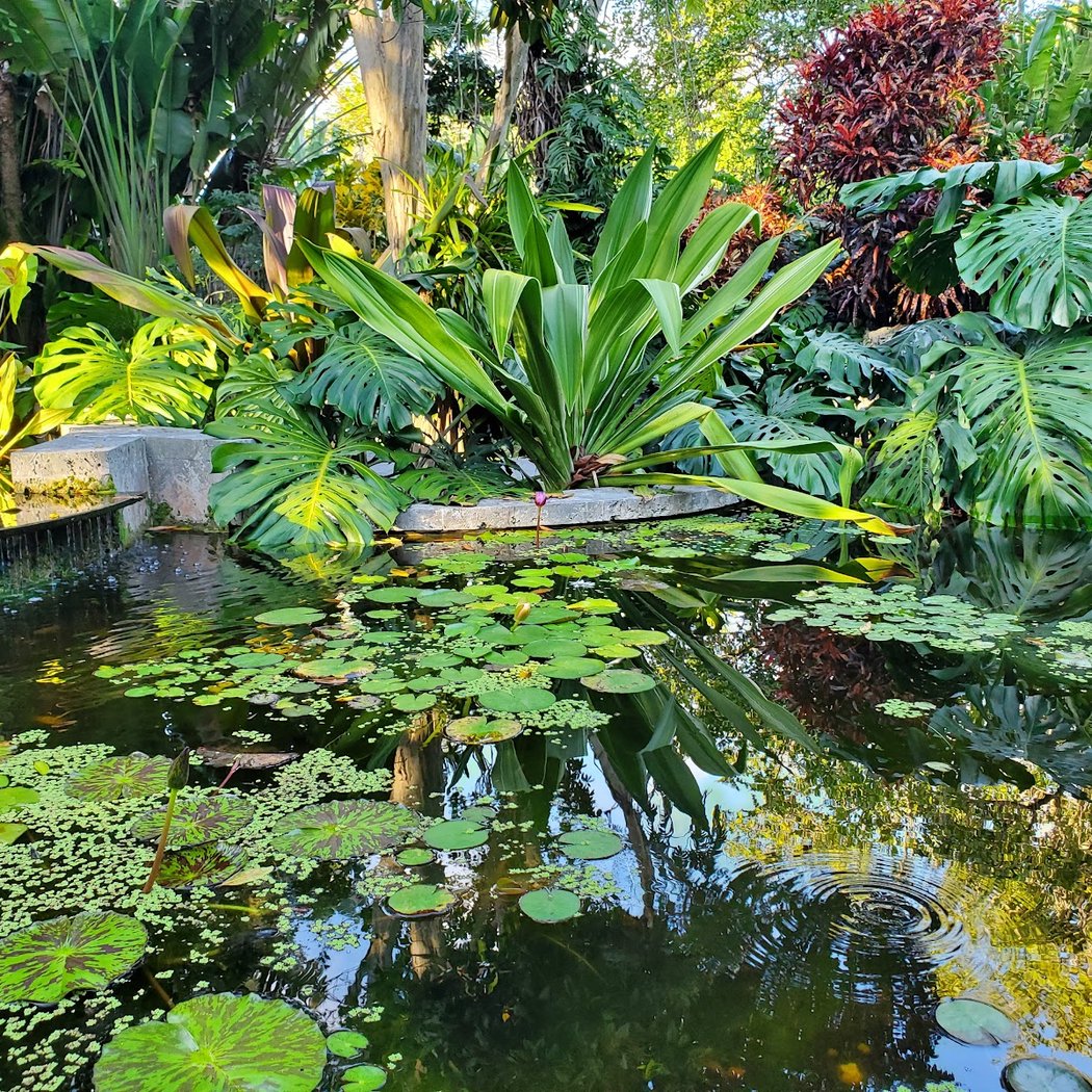 Paloma Teppa presents: EDEN – A RETURN TO WONDER 3