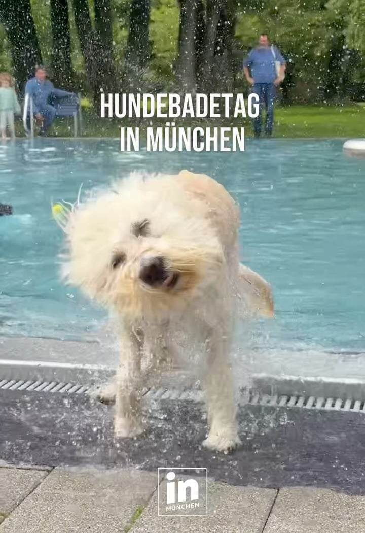 Hundebadetag 1