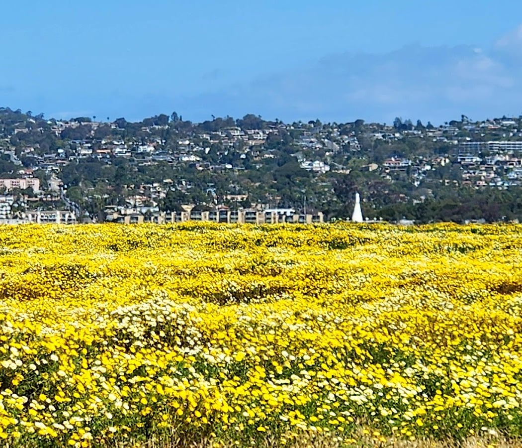 Fiesta Island