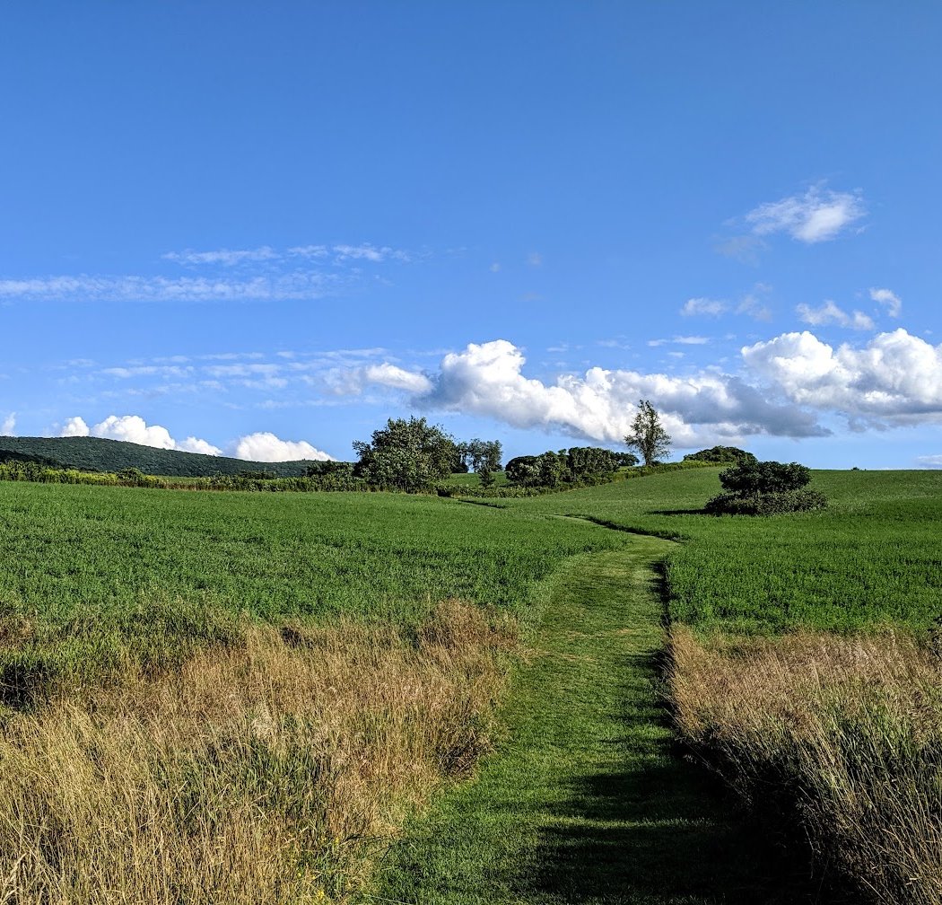 Roeliff Jansen Park 2