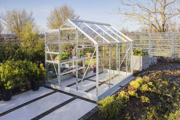Vitavia Venus 5000 8x6 toughened glass greenhouse in aluminium