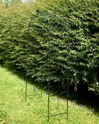 Hawkeshead Metal Garden Arch in Black