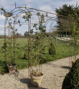 Antiqued Metal Garden Arch Tunnel Cream