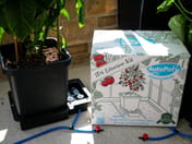 AutoPot 1Pot Extension Kit - in use