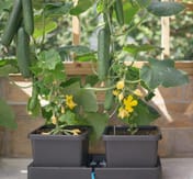 AutoPot Accessory pack for easy2grow Extension kit - Original AQUAvalve - detail