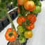 AutoPot Accessory pack for easy2grow Extension kit - with AQUAvalve5 - gallery 3