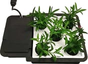 AutoPot AQUAplate Square - detail