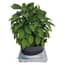 AutoPot PlantSkirt - gallery 3