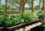 AutoPot Tray2Grow Micro Herb Tray - gallery