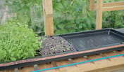 AutoPot Tray2Grow Micro Herb Tray - lifestyle