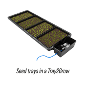 AutoPot Tray2Grow Seed Tray - in use