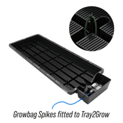 AutoPot Tray2Grow Capillary Spikes - in use