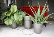 AutoPot Khloris Watering System - Metallic Sage - in metallic sage
